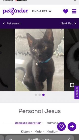 no church for me, i’ve got my own personal jesus