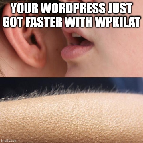 WPKilat: The best way to run your WordPress sites (@wpkilat) on Twitter photo 