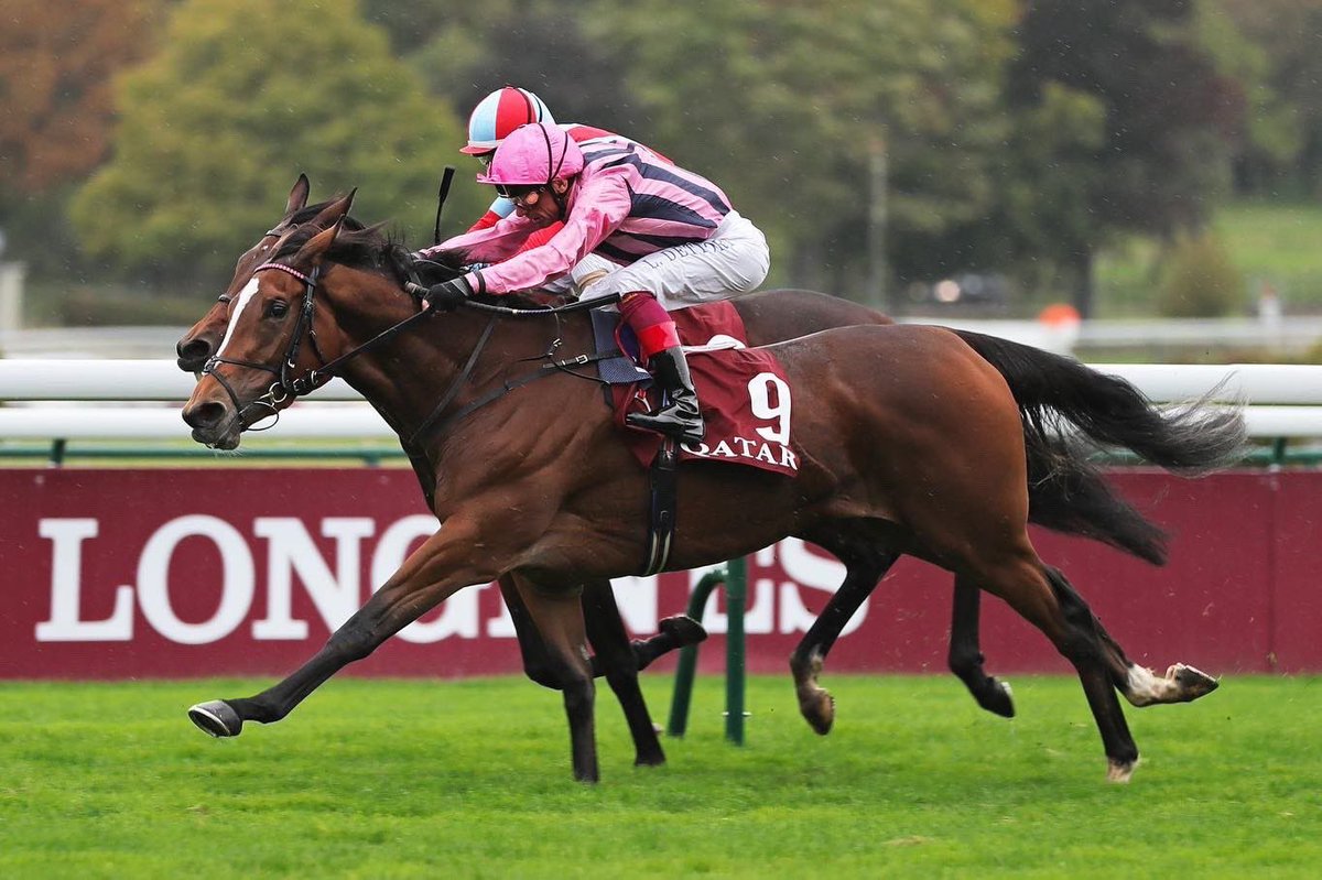 LordshipStud's tweet photo. Nearly a year on from her success in the Group 1 Prix de Royallieu at @paris_longchamp, Loving Dream is in great form on the farm and we look forward to welcoming her first off spring by Dubawi in the new year! 🤞🏼@DarleyStallions #LovingDream #ArcWeekend https://t.co/otx7Xe3GG9