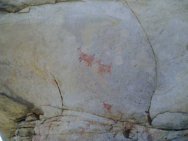 devinroche's tweet photo. I like the deer paintings https://t.co/6WbeL8dHDh v cute https://t.co/6ZQEkIMWOx