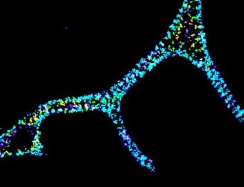 engagingSTS @ESTSjournal@mastodon.world tweet media