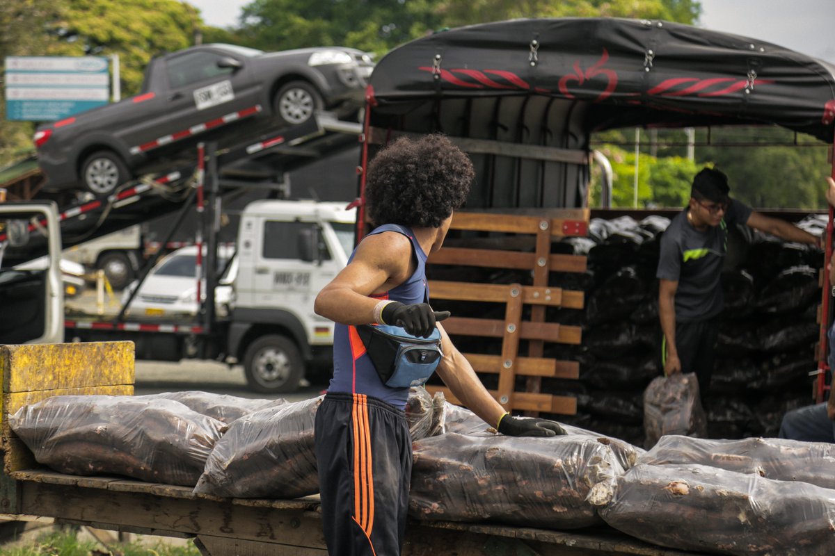 cavasa_sa's tweet photo. Cavasa está ubicada a tan solo 11 kilómetros de Cali.
Además de garantizar el acceso a los alimentos para el Sur occidente colombiano, también generamos empleo alrededor de 1.900 indirectos
#compraencavasa #alimentosparatodos #generandoempleo #trabajosihay https://t.co/rezEhzw71O