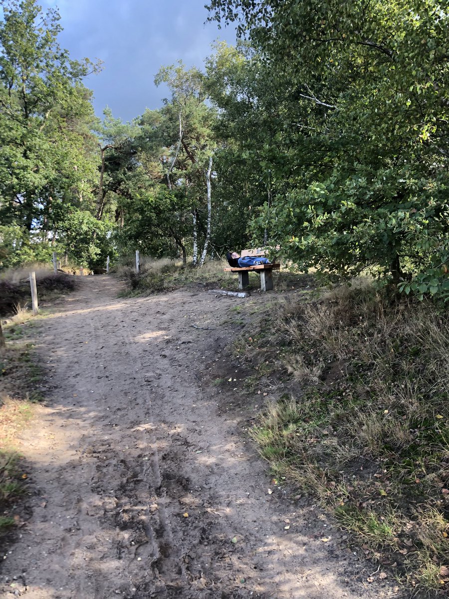 Today me and my Sons rook A Nice walk. <a href="/kevinrichardson/">Kevin Richardson</a> what you think of this green sites in the Netherlands