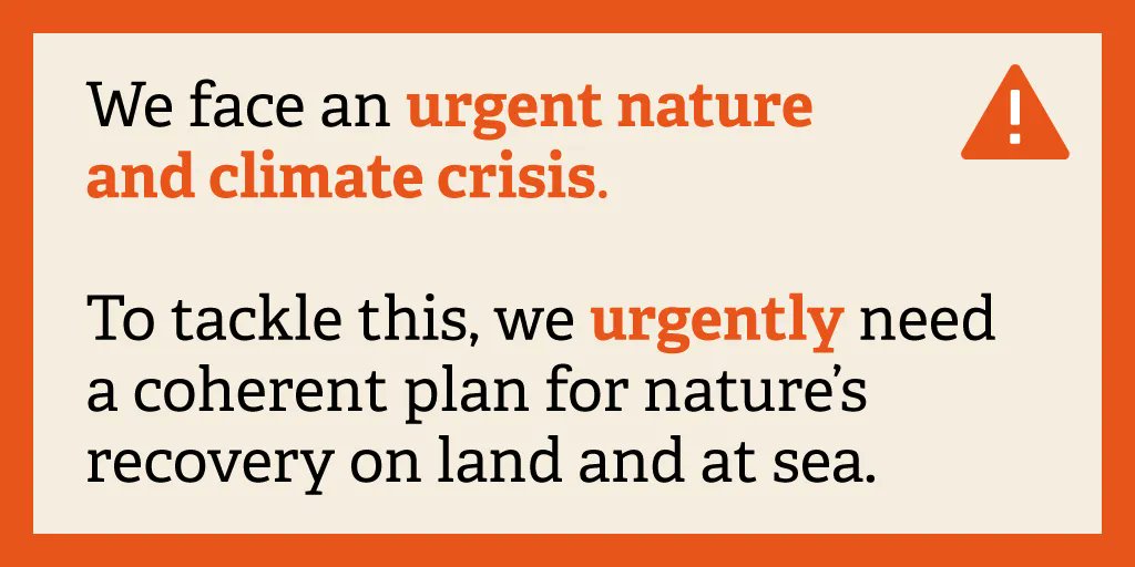 NorfolkWT's tweet photo. The Government’s recent announcements read like an open attack on nature, putting Norfolk's landscape, people &amp; prosperity in great peril. 🌱🚫   

We are urgently asking for your help to defend Norfolk's nature ✊ 

Take action: https://t.co/7ZyFVlHgv4

Mark Hamblin/2020VISION📸 https://t.co/NInFy5HPbc