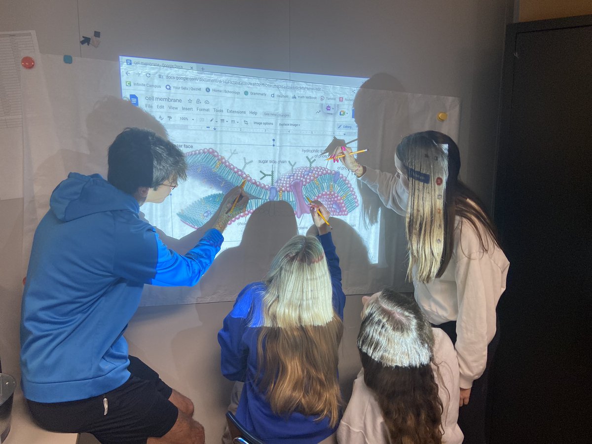 bzbridavis's tweet photo. Cell organelle election campaign teams are hard at work,…Check out the teamwork as they make their “campaign banners”! #apbio #itsworthit https://t.co/05g7NWfbUH