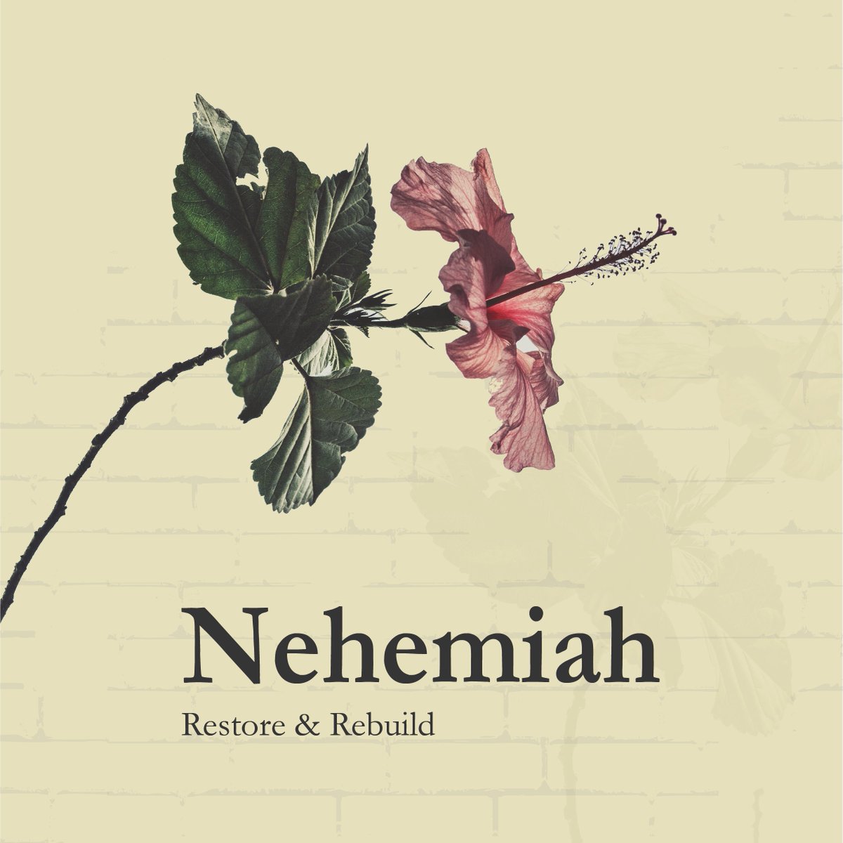 Hull Vineyard tweet media