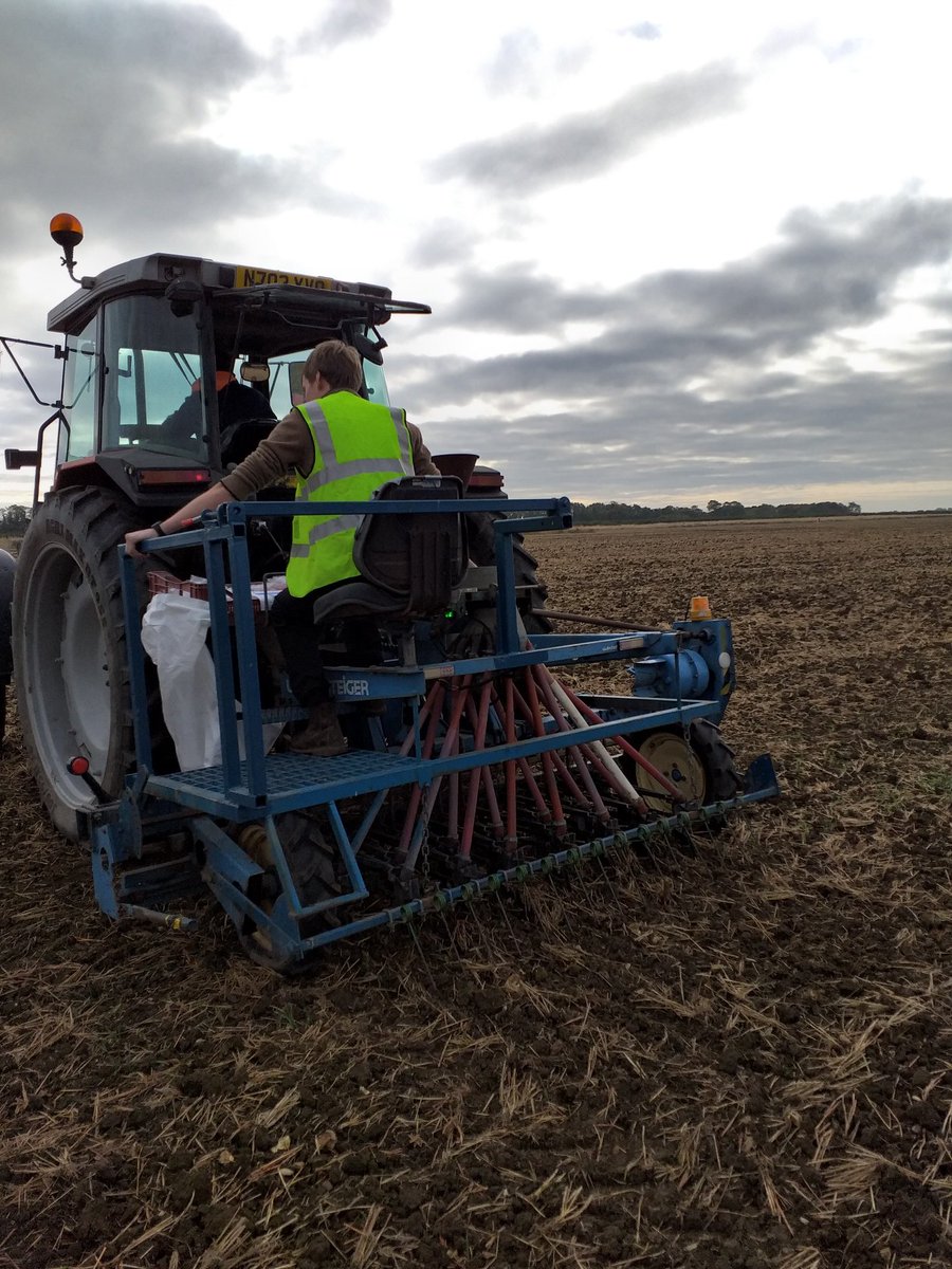 lynntatnell1's tweet photo. Field trial plots drilled today at Boxworth for AHDB/ University of Leeds PhD investigating black-grass suppression from cultivars by Jed Clark @bfgjed @AHDB_Cereals @ADASBoxworth @ADASGroup #grassweedcontrol #IWM https://t.co/U4teiRy8lE