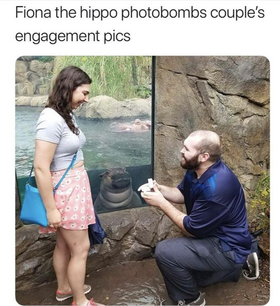 WholesomeMeme's tweet photo. https://t.co/tzgMokdtpe