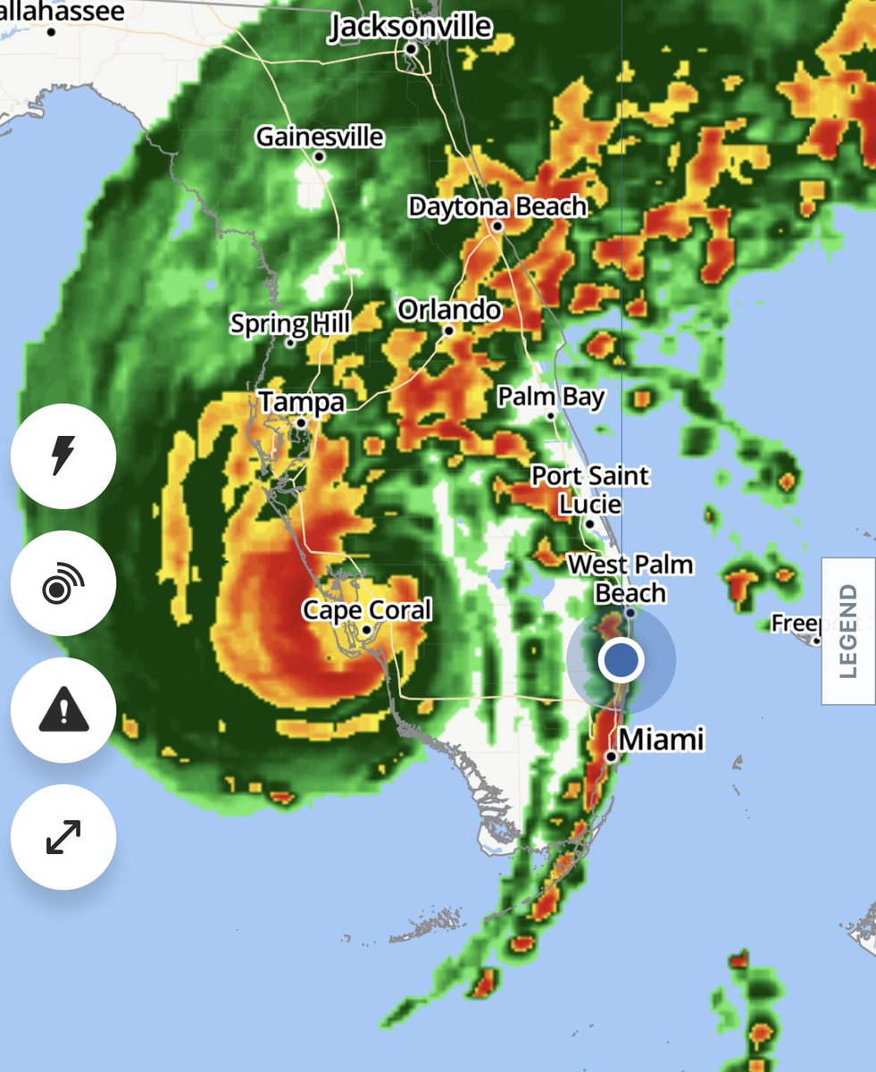 Cat Beach Music tweet media