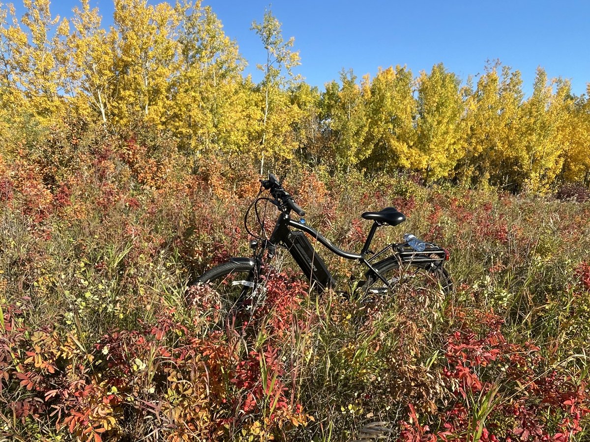 dantoniuk's tweet photo. Morning bike ride along the mighty Sturgeon River #surface604 https://t.co/B0PAnwED87