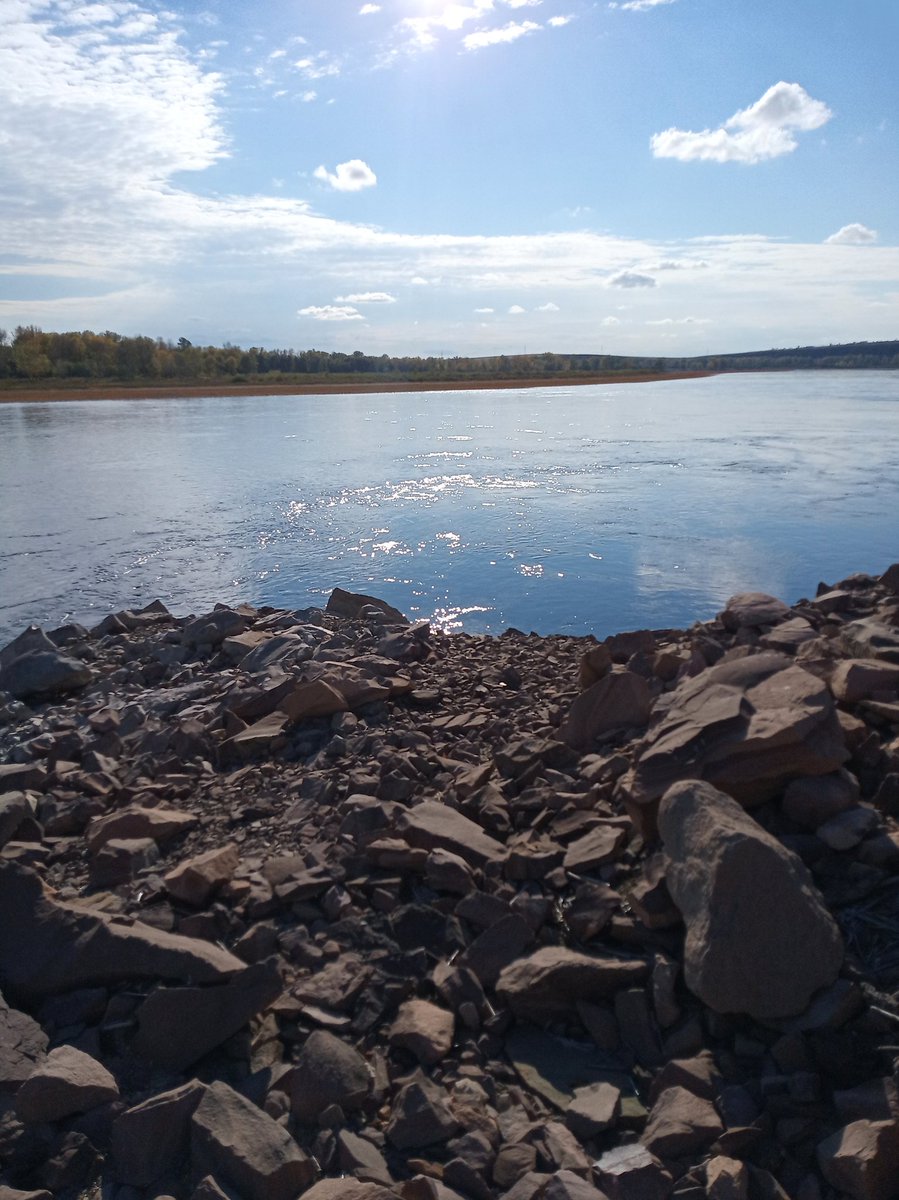 💛 How I love nature and water ☀️
For me, this is meditation 🫧🌱

Guys, how do you meditate? 💚 ☺️

#NFTCommuntiy
<a href="/KseniNov/">Kseniya•NFT artist</a> <a href="/_JDteam/">JDteam</a> <a href="/inlecebra_/">inlecebra</a> <a href="/sadgalNFT/">sadgal.eth/tez</a> @ufonft2 <a href="/Dary_Luu/">Darya_lu💎</a> <a href="/Dreamer4ETH/">elyen🚀👨‍🚀</a>