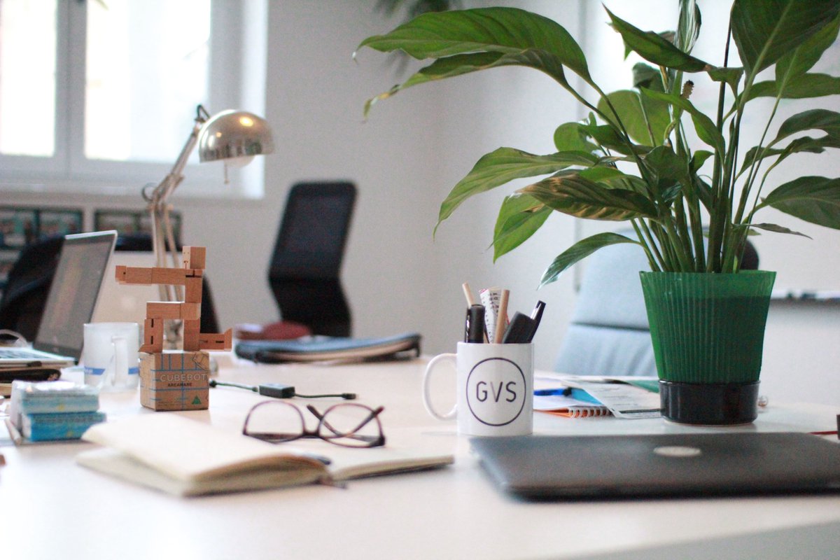 GuestViews tweet media