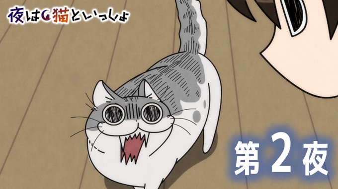 Tvアニメ 夜は猫といっしょ 公式サイト