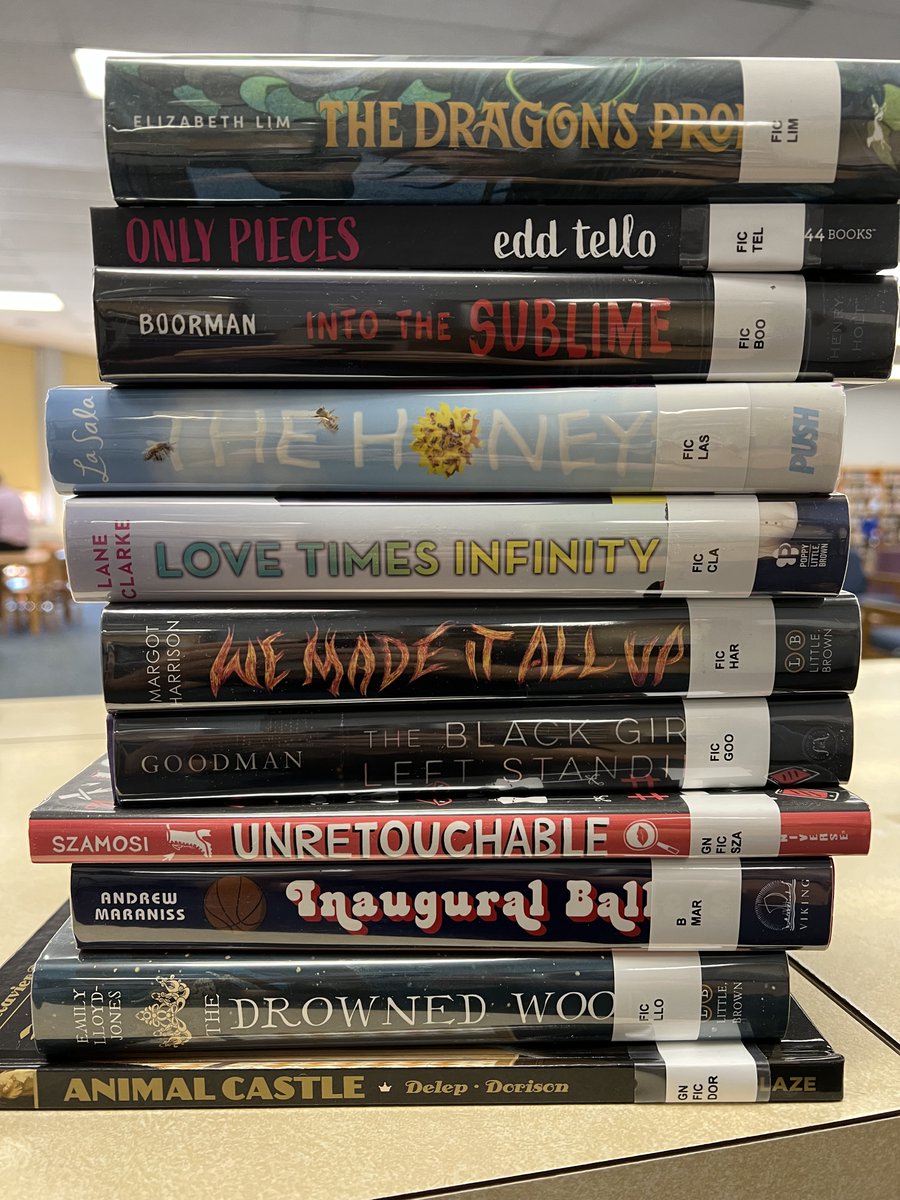 More 📚 books 📚! A New Fiction display is set up across from the check-in desk. <a href="/htsd_nottingham/">Nottingham High School</a> students, check out a few thoughts: docs.google.com/document/d/1ef…