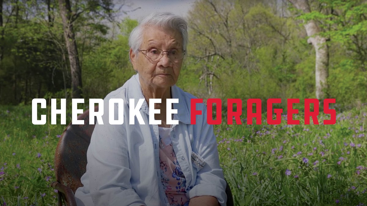 osiyo_tv's tweet photo. Food from our land is #GoodMedicine. #CherokeeForagers, like Cherokee National Treasure Betty Jo Smith, use their traditional knowledge to turn plants and ingredients, found all around us, into delicious dishes.
Watch the collection at: https://t.co/YLVV3gBxkA https://t.co/18ii02xbiG