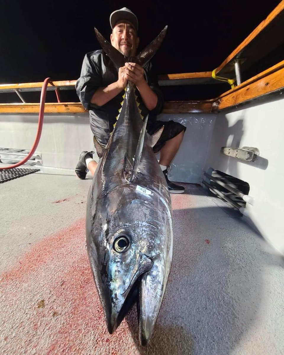 Tuna up the party with Newport Landing Sportfishing 

thelog.com/local/top-corn… #topcorner #tuna #newportbeach #fishingcharter #sportfishing