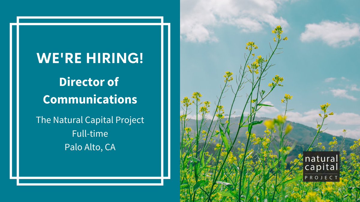 We're Hiring! 📣 Are you an experienced communications professional ready to tell NatCap stories in innovative and diverse ways? 

Join the #NaturalCapital Project as our new Director of Communications!

Apply today: stanford.io/3qC0XRO 
#scicomm #commjobs #jobs