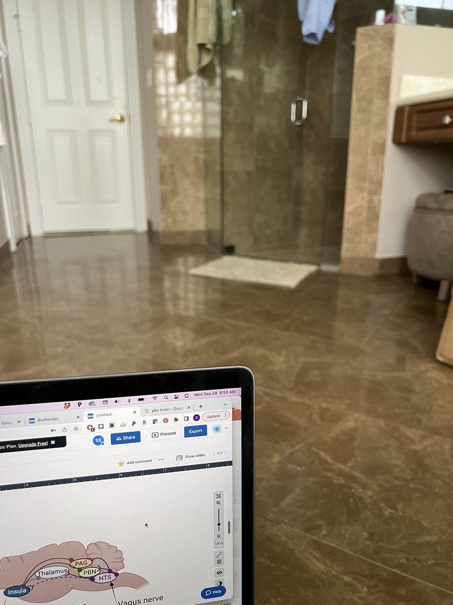 Sarah Stern tweet media