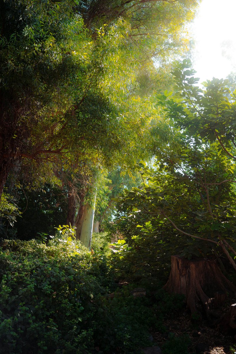 TheGroot15's tweet photo. In the mid spring https://t.co/Tt3gwGeE99