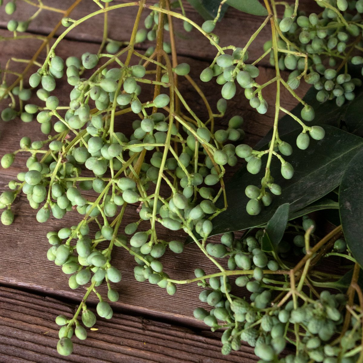 Branches, Berries, and Baby's Breath! All three are great for adding line, dimension, and texture to your arrangements!

Click the link down below to read about how to add branches, berries, and baby's breath for an unique aesthetic
bit.ly/3QTwBoE