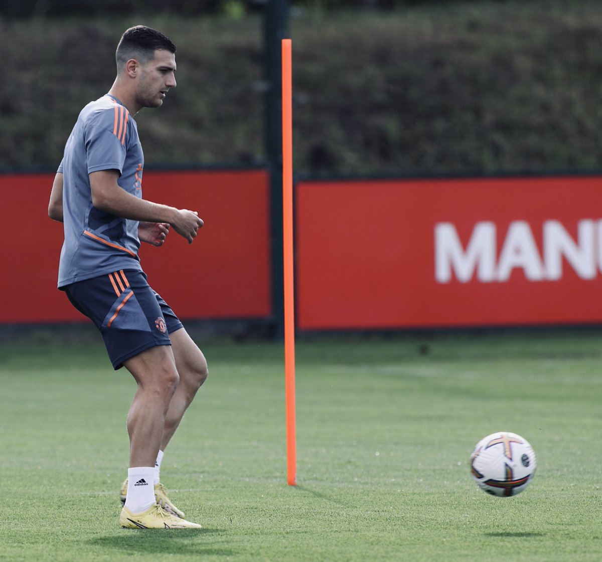 ManUtd's tweet photo. ⚽️ Keeping the ball moving. 

@DalotDiogo 🤝 @TyrellMalaciia 

#MUFC https://t.co/ApFJTKqTX3