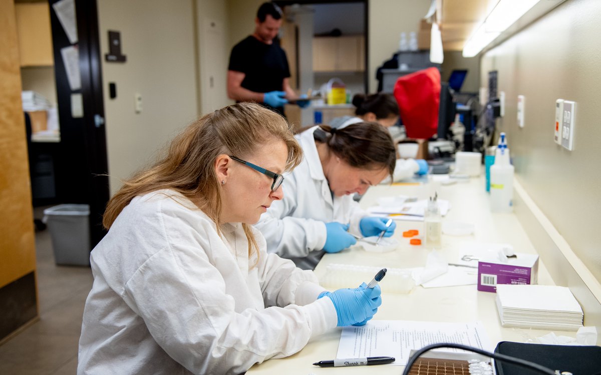 CaWaterBoards's tweet image. Is #microplastics a concern? You'll be glad to know the Water Board has approved an environmental lab accreditation program - the 1st such in the world - for microplastics testing in drinking water! Program a key step to helping protect public health.
bit.ly/3D3ADYj