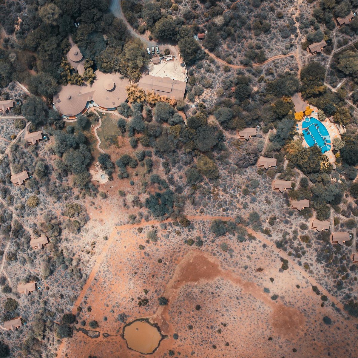 Gondwana KE 🇰🇪 tweet media