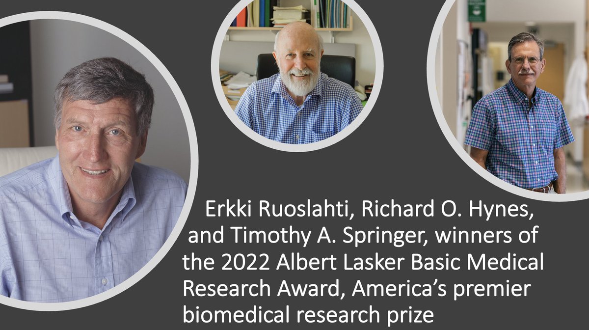 Congratulations Richard O. Hynes, Erkki Ruoslahti, and Timothy A. Springer, 2022 #LaskerAward winners! — “for discoveries concerning the #integrins—key mediators of cell-matrix and cell-cell adhesion in physiology and disease”. @MIT @sbpdiscovery @harvardmed #Lasker2022