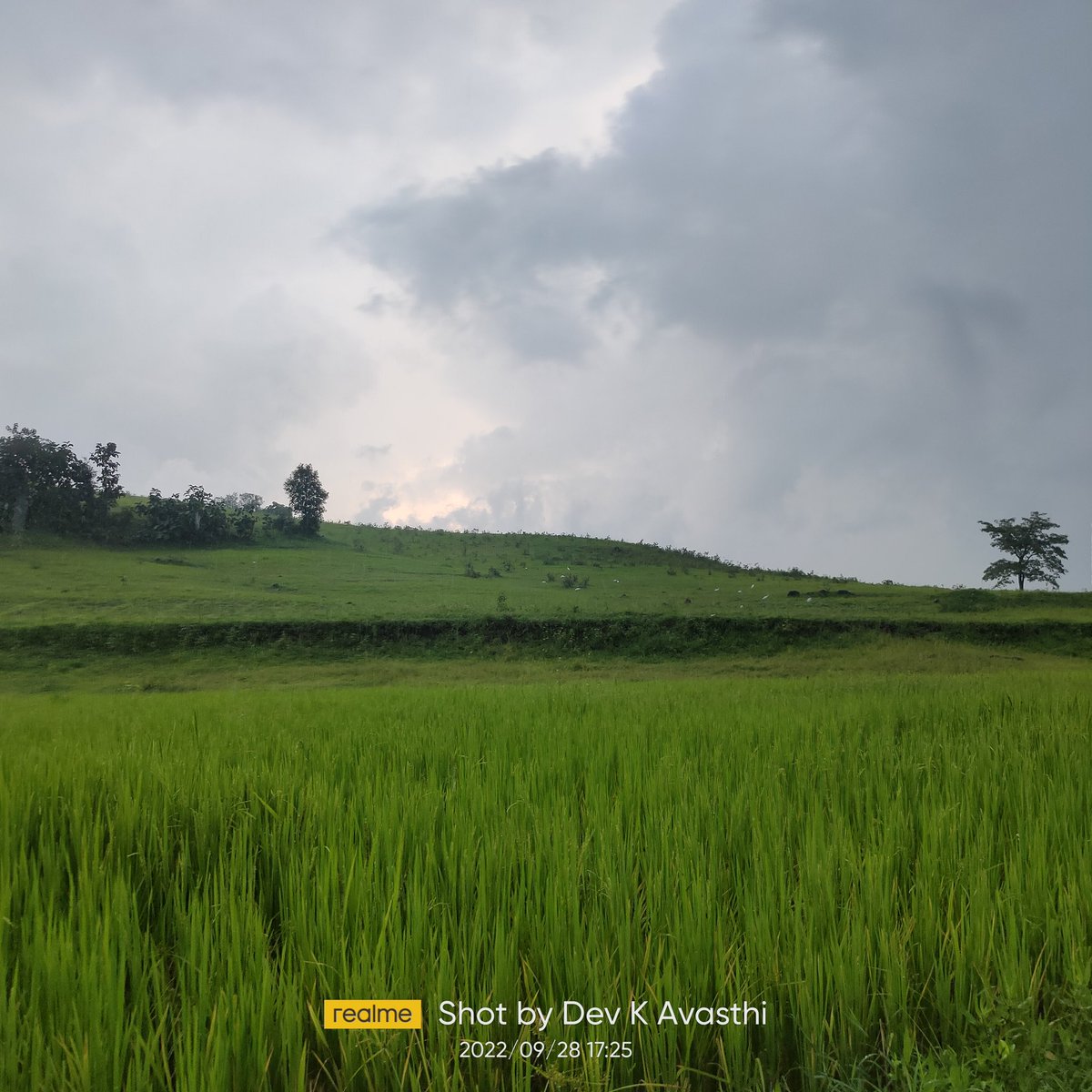 Devavasthi's tweet photo. #greenery #nature #naturelover #naturephotographer #clouds #peace #love #photography #photoshoot #gclicks #dev #nashik #mansoon #sukun #naturephotography #नाशिक https://t.co/Pev5WSbEIu