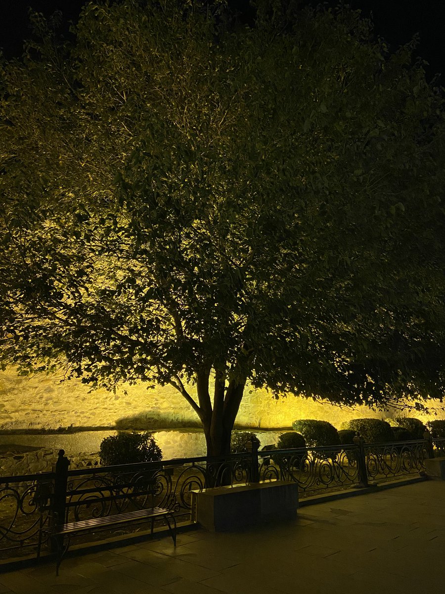TheCurledLife's tweet photo. All I need is sometime stolen,
sit here at this bench,
all by myself,
looking at the sky swollen.
Thinking about our unfinished conversations,
craving for some more of you.
Missing every bit of us,
here & there,
now & then…♥️
#CurledLife https://t.co/I3FXdoV3LT