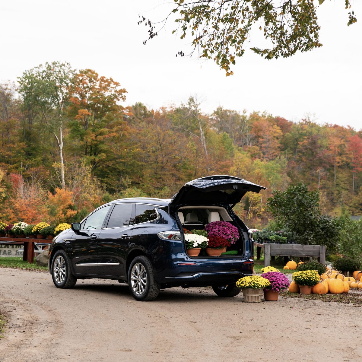 Perfect cargo space for more Fall flowers and plants. 💐

#BuickEnclave