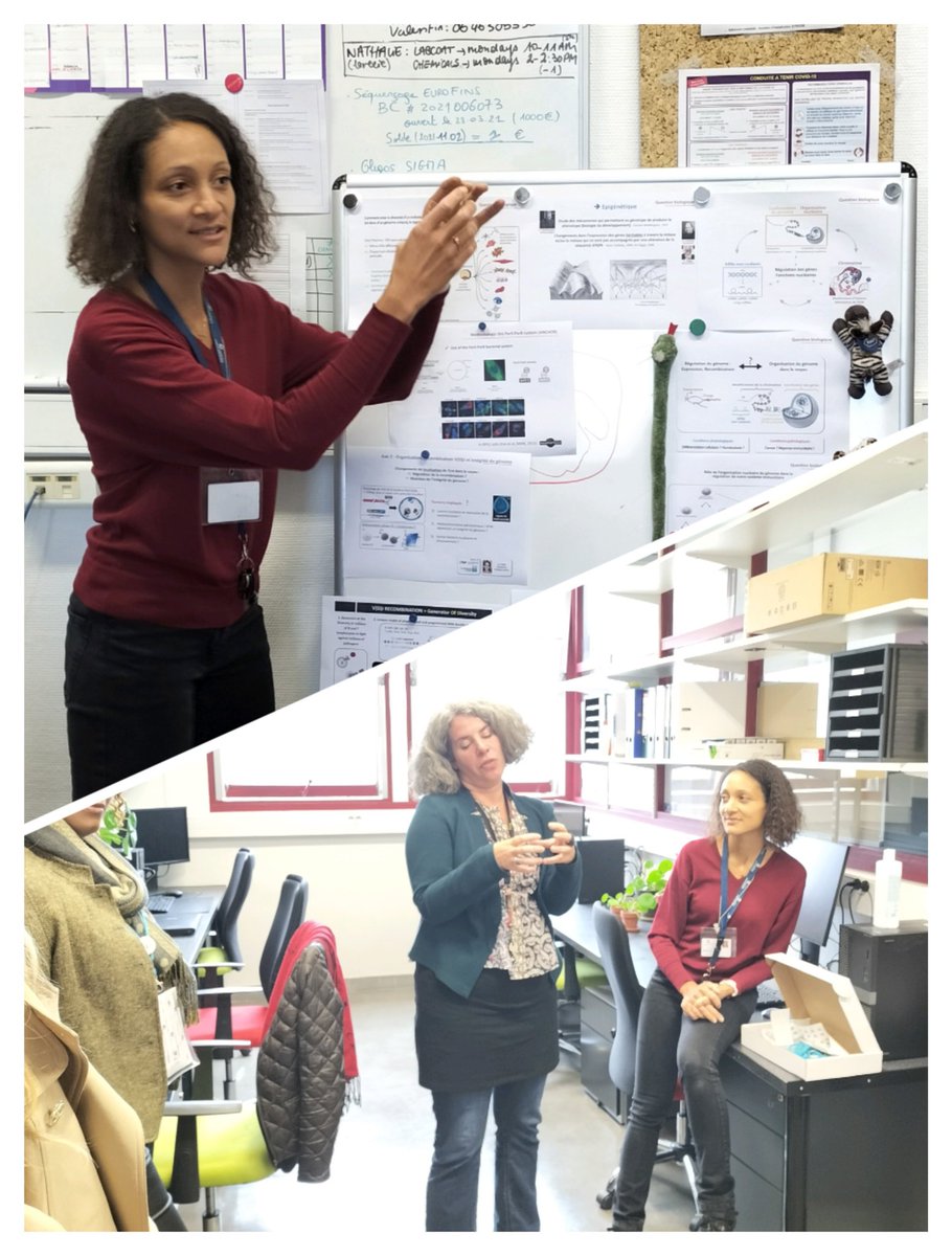 Institut Cochin (@institutcochin) on Twitter photo The team of <a href="/ChaumeilJ/">chaumeil julie</a> works on #epigentics and nuclear organisation in #recombination and #development. They are interested in #leukemia, V(D)J recombination, and sexual biais of the #immune response.
You want to know more? Check their webpage:
institutcochin.fr/equipes/epigen…
#IC20ans The team of <a href="/ChaumeilJ/">chaumeil julie</a> works on #epigentics and nuclear organisation in #recombination and #development. They are interested in #leukemia, V(D)J recombination, and sexual biais of the #immune response.
You want to know more? Check their webpage:
institutcochin.fr/equipes/epigen…
#IC20ans