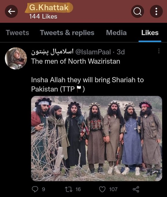 SunnisPostingLs's tweet image. Taliban caught liking furry porn 🔞🦊