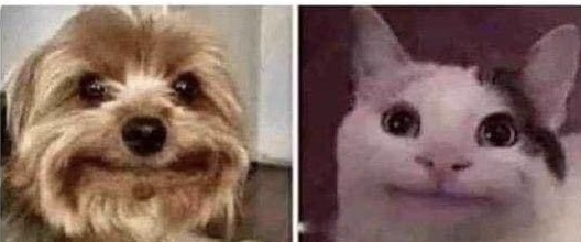 Guarromantico_'s tweet photo. Cuando volteas a ver a tu amigo en el examen y los 2 no saben nada: https://t.co/7Bk8M6zLgh