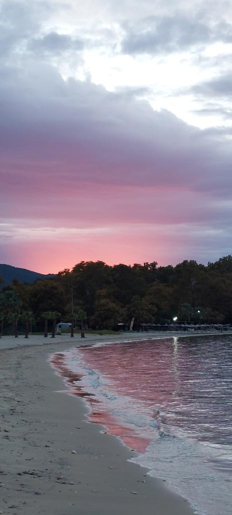 bub_bubo2's tweet photo. Πήρε φωτιά ο ουρανός....❤️‍🔥❤️‍🔥 https://t.co/D5x6aeh1M1