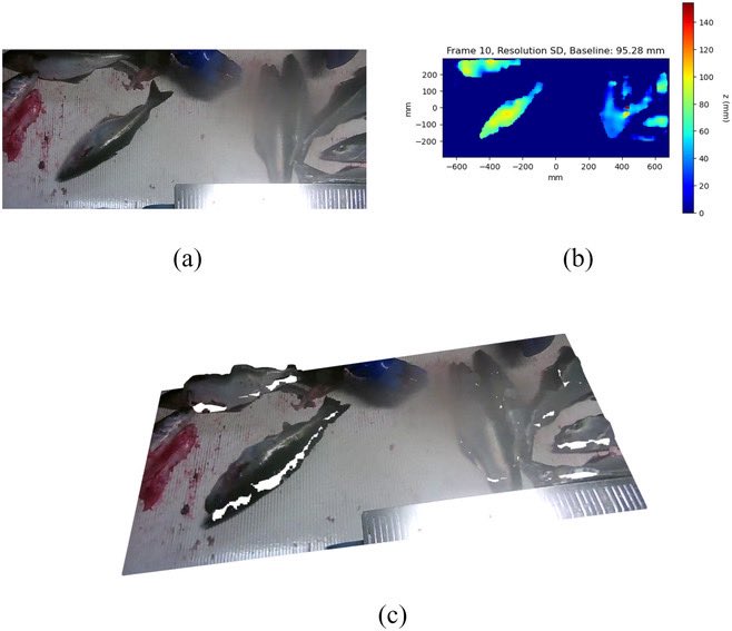 straa_holah's tweet image. First look at comparing accuracy and precision of monocular and binocular stereo cameras to construct 3D scenes of 🐟 discards on conveyors #EM4Fish @marinescotland 

New co-authored article @UEA_CMP  @RebeccaSkirrow @wileyinresearch @IET_Research

https://doi/10.1049/ipr2.12636