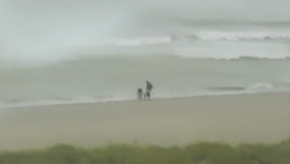 Chris Winterhack tweet media