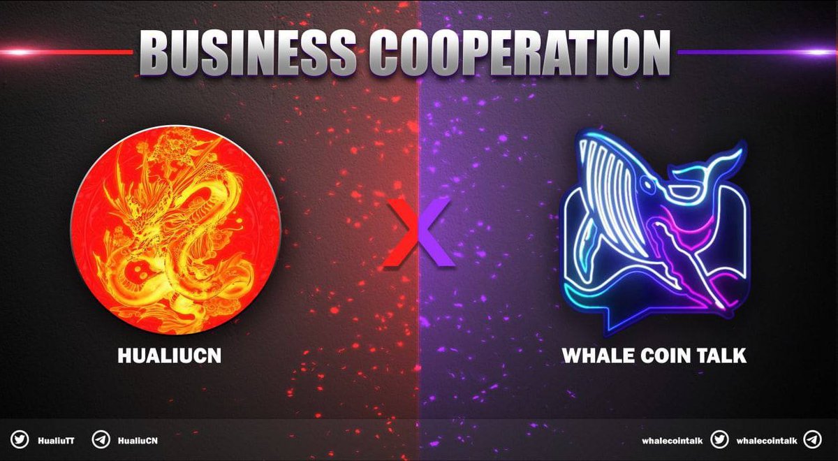 Whale Coin Talk tweet media