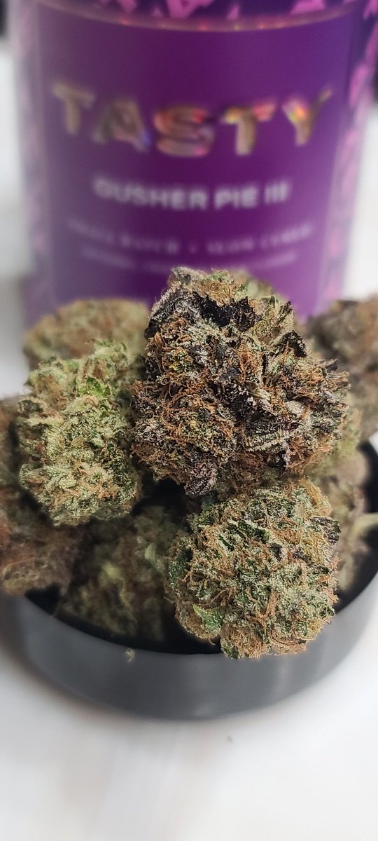 <a href="/queenncyn/">Queen Cyn</a> Gusher Pie III by Tasty 🌬