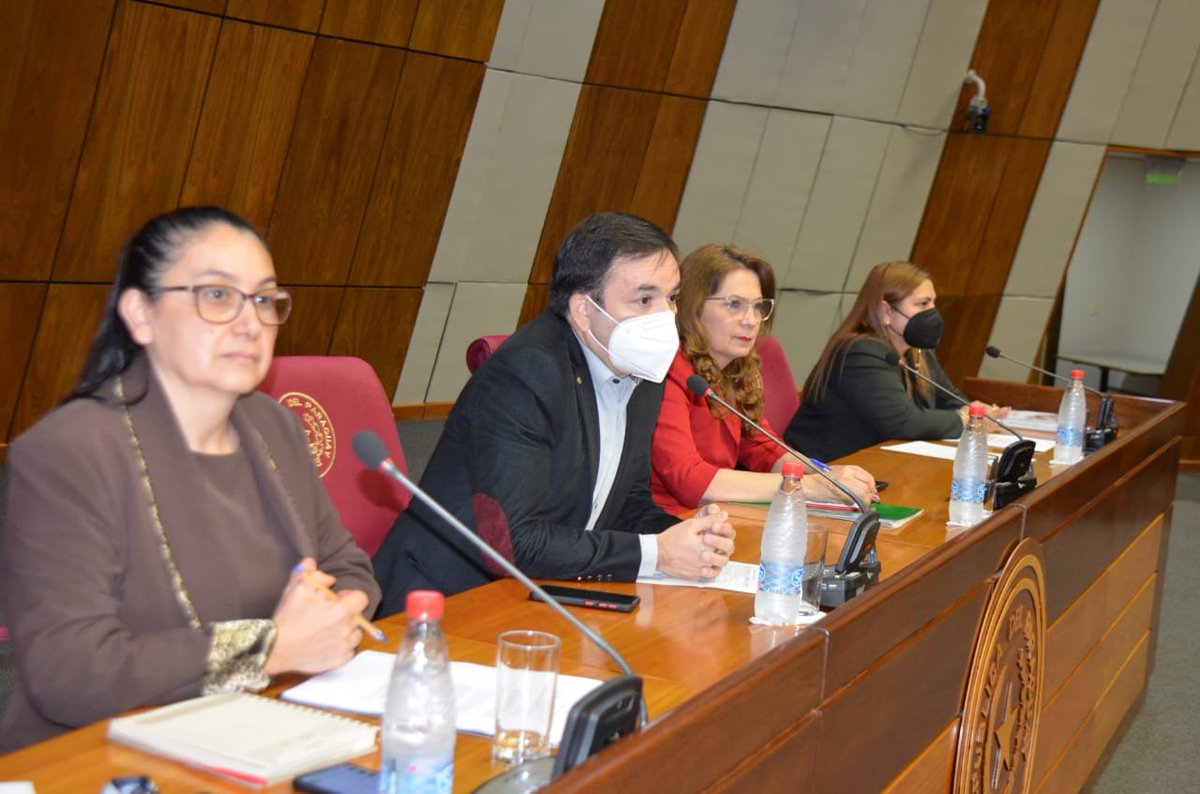 SenadoresPy's tweet photo. Jornada para socializar y difundir las normas de requisitos mínimos del MECIP

https://t.co/df4dr2xC4S

#SenadoPy 

@zacasan76 https://t.co/y57DKSyudk
