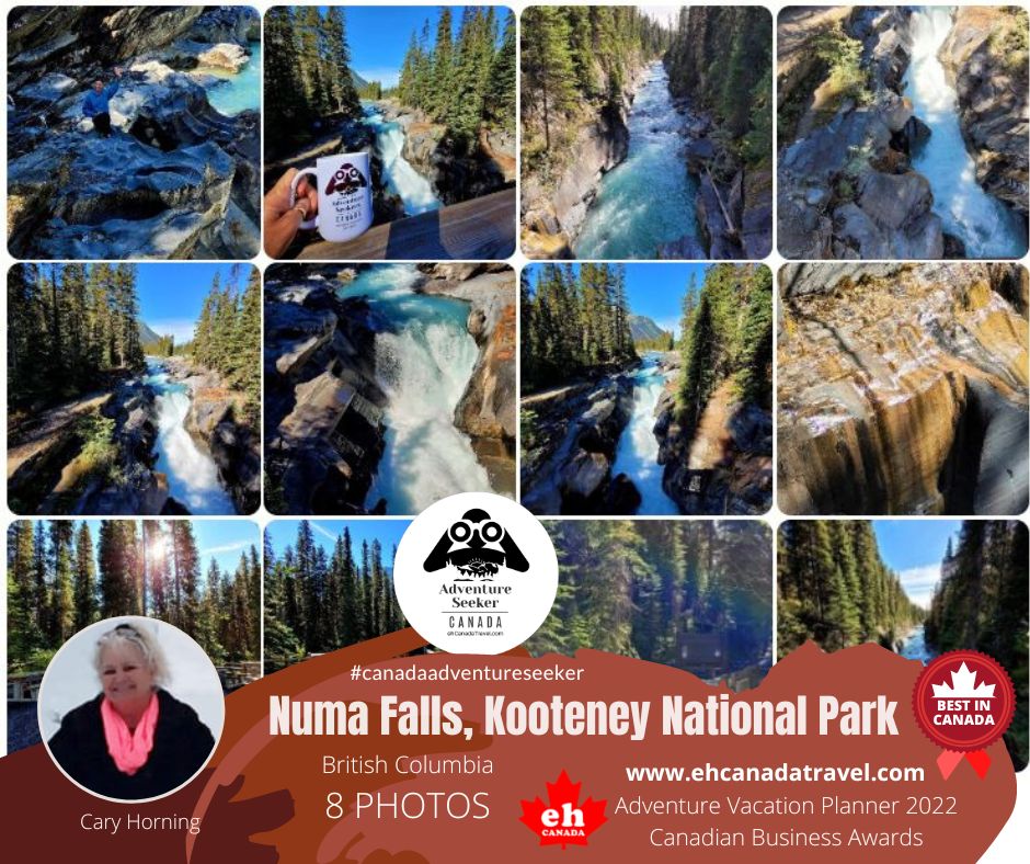 ehCanadaTravel's tweet photo. (12 photos) Numa Falls, Kooteney National Park, B.C.! Shared by #CanadaAdventureSeeker Cary Horning
***
https://t.co/yDJogxT8xy
***
#experiencecanada #waterfall #kootenay #kootenaypark #hiking #numafalls #waterfalling #bccanada #hiking https://t.co/8Si6y89Drx