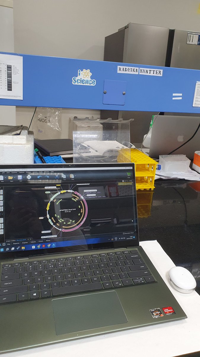 radhikakhatter_'s tweet photo. Sometimes the little wins in life include having your own lab bench as a ug researcher 
#virology #ugResearch #baculovirus #labchronicles https://t.co/JJXkZEYyYD