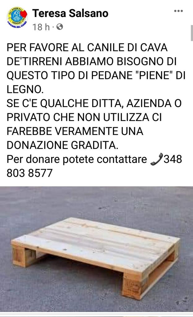 GabriellaBargh1's tweet photo. X FAVORE LEGGETE E SE POTETE 
AIUTATE QUESTE CREATURE HANNO
BISOGNO DI APPOGGIARE LE LORO
OSSA SU UNA COSA MENO FREDDA
DEL CEMENTO. GRAZIE A CHI AIUTERÀ. 🙏🙏🙏🙏❤️❤️❤️ https://t.co/MzfBvIQFqt