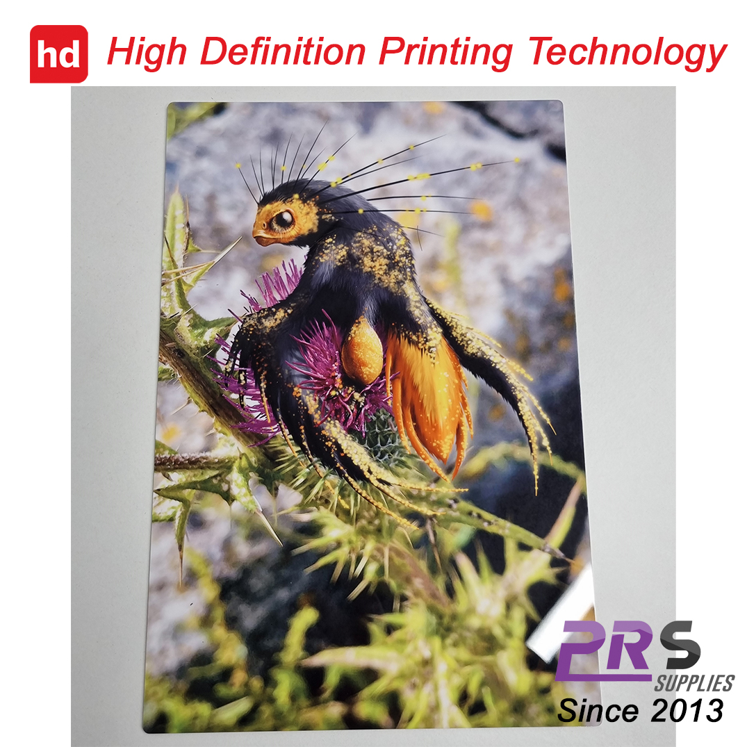 PrsSupplies's tweet photo. Been a pleasure to another high gloss, aluminium, Chromaluxe photo panel for Welsh artist @dragonsofwales today.
#chromaluxe #photopanel #artist #dragons #hdprinting https://t.co/n9iAeDCIED