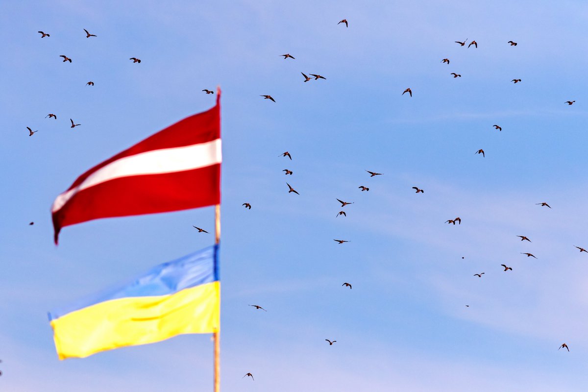 Intensīva lauku baložu migrācija šodien Papē.
Visas dienas laikā aizlidoja tūkstošiem šo putnu. 
Attēlos dažu baru fragmenti.