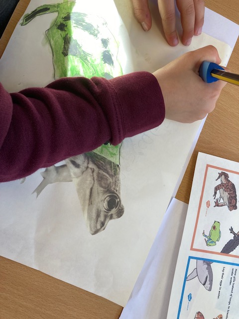 GomersalPrimarySTEM tweet media