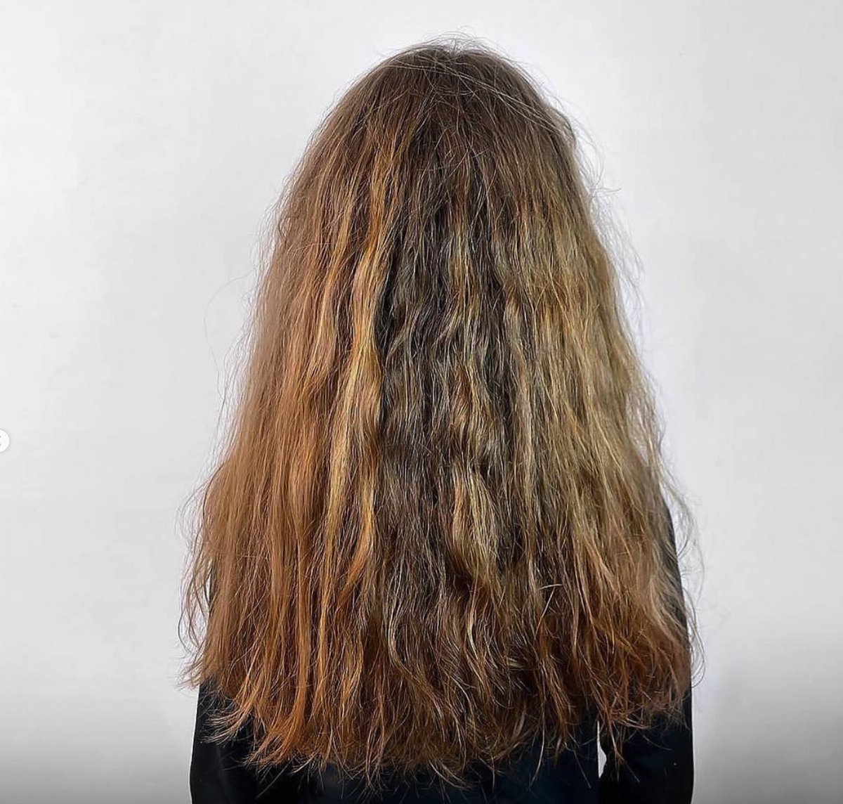 UsaFelps's tweet photo. Our Omega Zero Unique Nanoplasty Thermal Seal is formulas free and compatible with all hair types. ⁠
⁠
What did you think of the before and after? ⁠😍
⁠⁠
#felpsusa #felpspro #felpsprofessional⁠ #smoothtreatment ⁠ https://t.co/upBAC00xIn