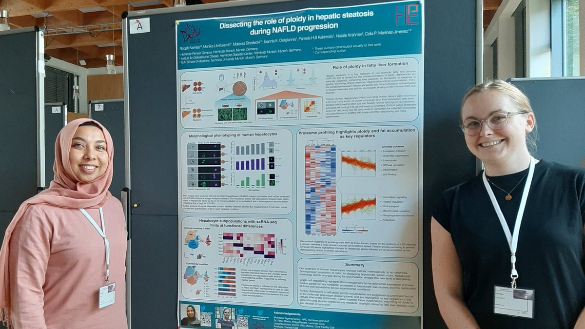 MolAgeingLab's tweet photo. Congrats to the team of @Rizqah_Kamies &amp; @Mona_Litvinuk for winning a poster price on their work in dissecting the role of  #ploidy in hepatic  #steatosis during  #NAFLD progression. 🏅🏅 https://t.co/xwtfEC7lAf