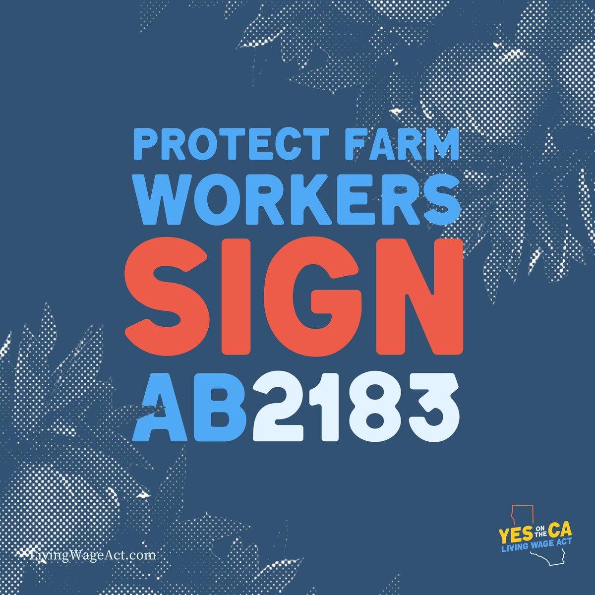 Every day that @GavinNewsom refuses to sign #AB2183 is a day that farm workers are denied the right to ask for better pay and decent work conditions.

That is unacceptable.