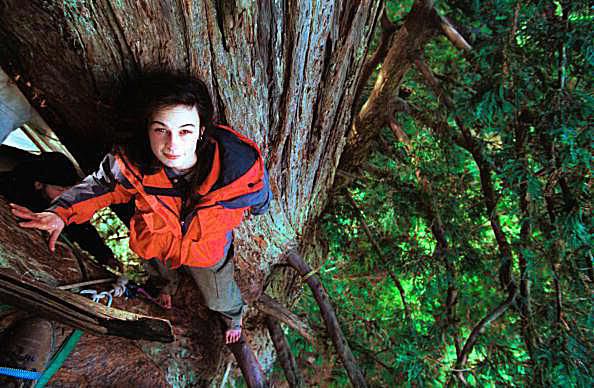 Julia Butterfly Hill climbed a giant Redwood-280ft and stayed up there for 2 years, in raging winter storms, surviving many challenges, physical & mental. She saved the whole forest. Never think that YOU a single person can not make a difference #WomensArt